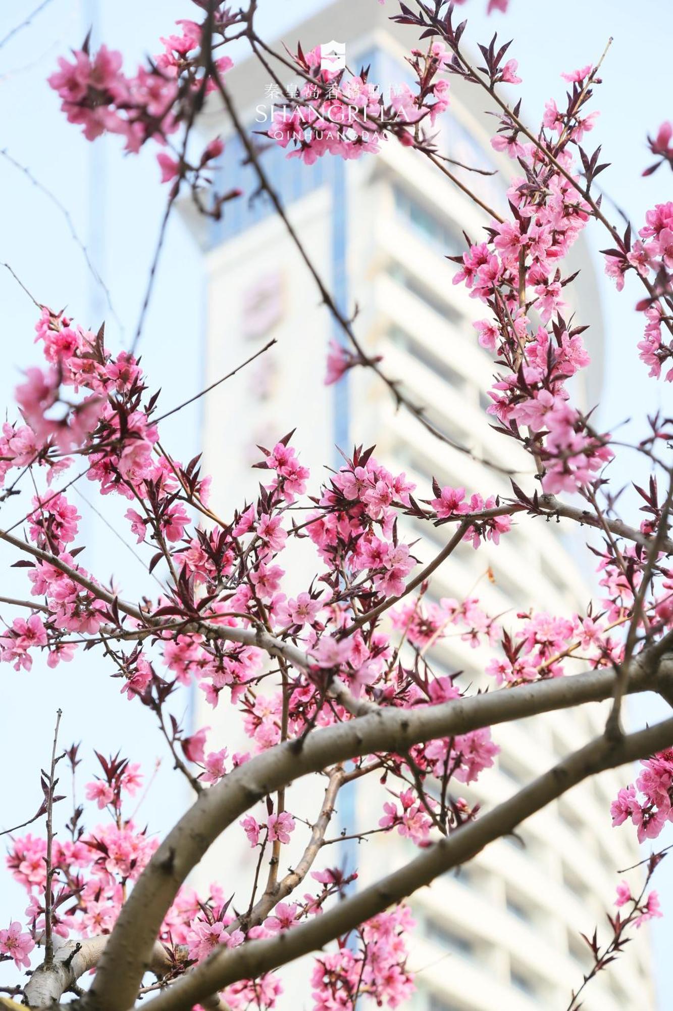 Shangri-La Qinhuangdao Esterno foto